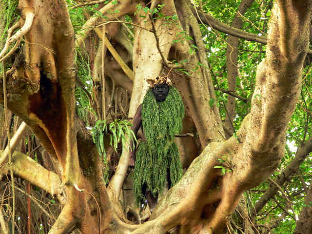 Tanna watcher